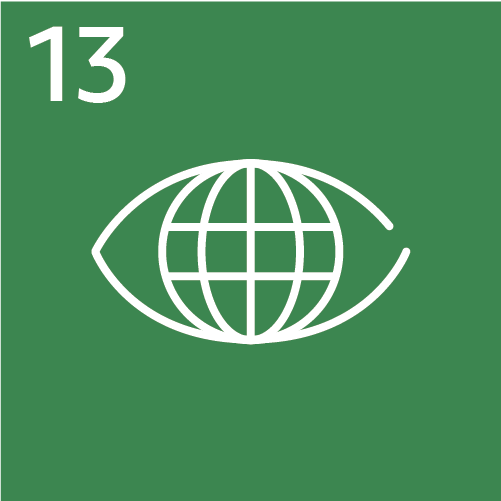 SDG13.png